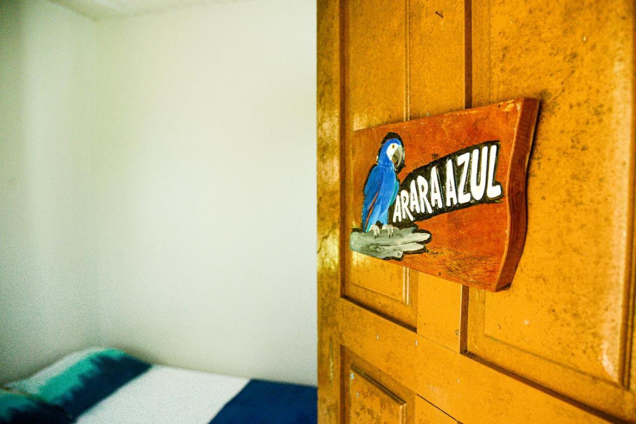 Castelo da Torre Pousada Bellatrix Ecolodge מראה חיצוני תמונה